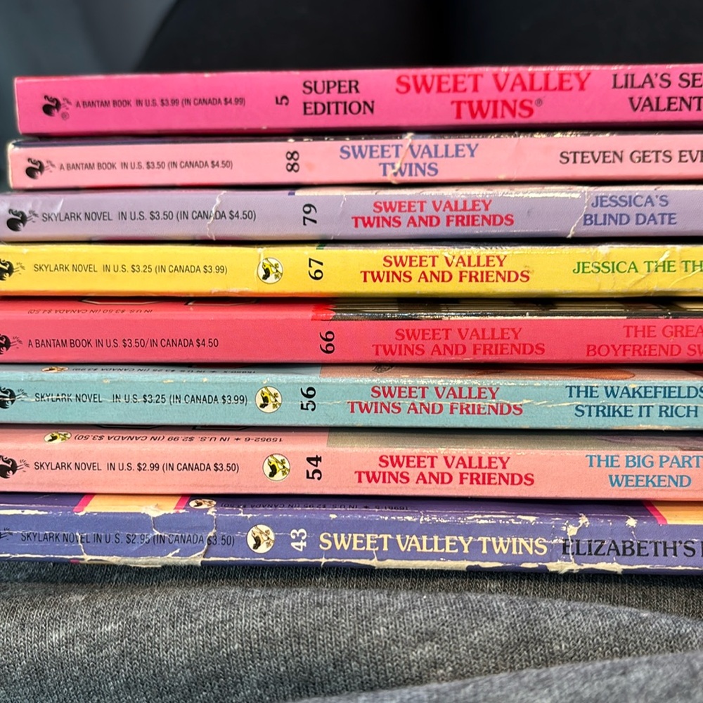 Sweet Valley Twins Book Lot (8x)